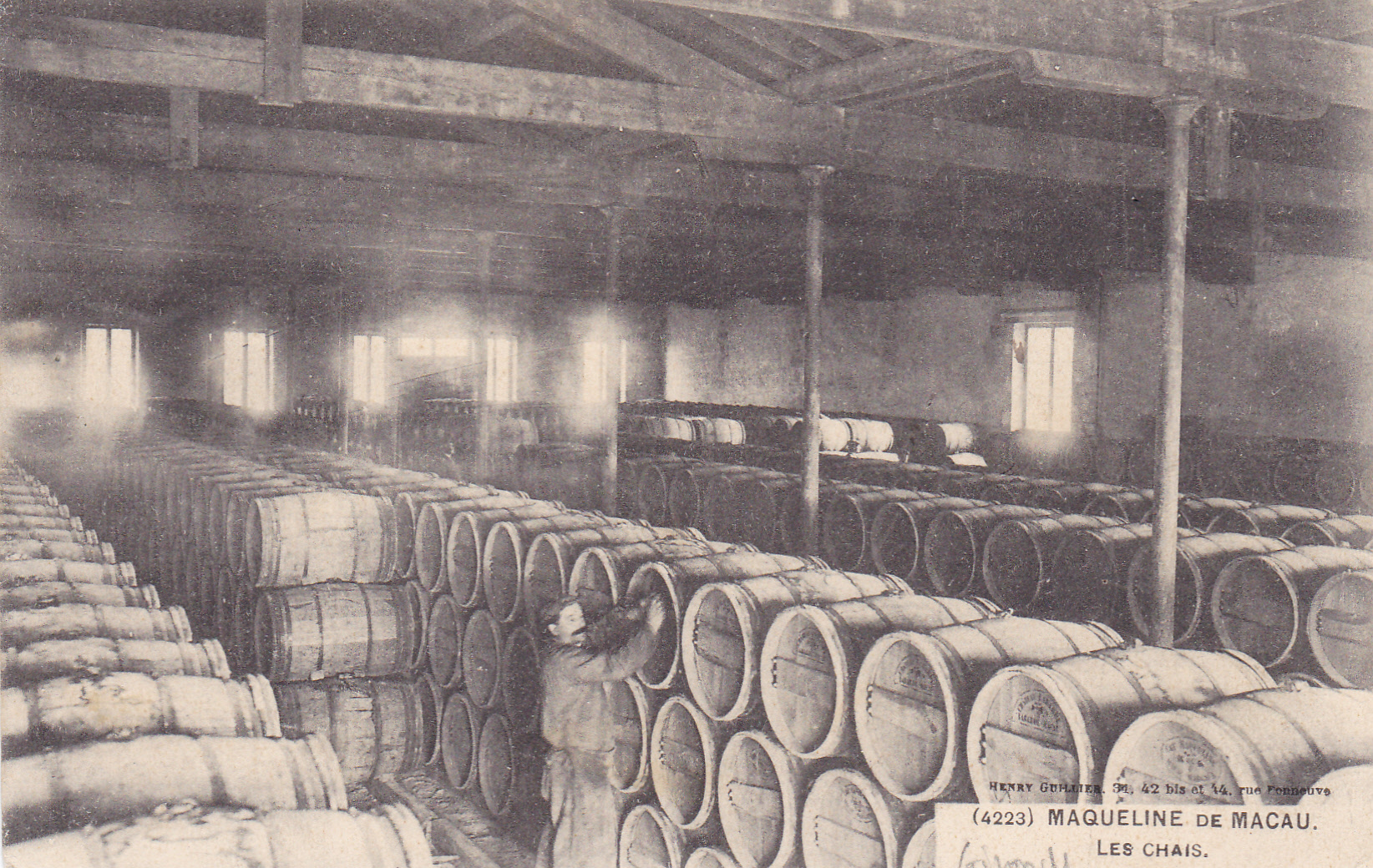 The Cellar